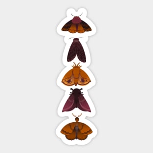 Moths Sticker